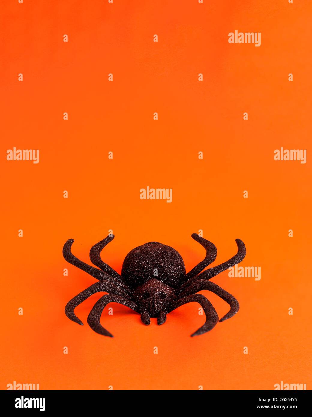 One big black horror spider on orange backdrop with copy space. Halloween decoration spooky background concept for holidays. Stock Photo