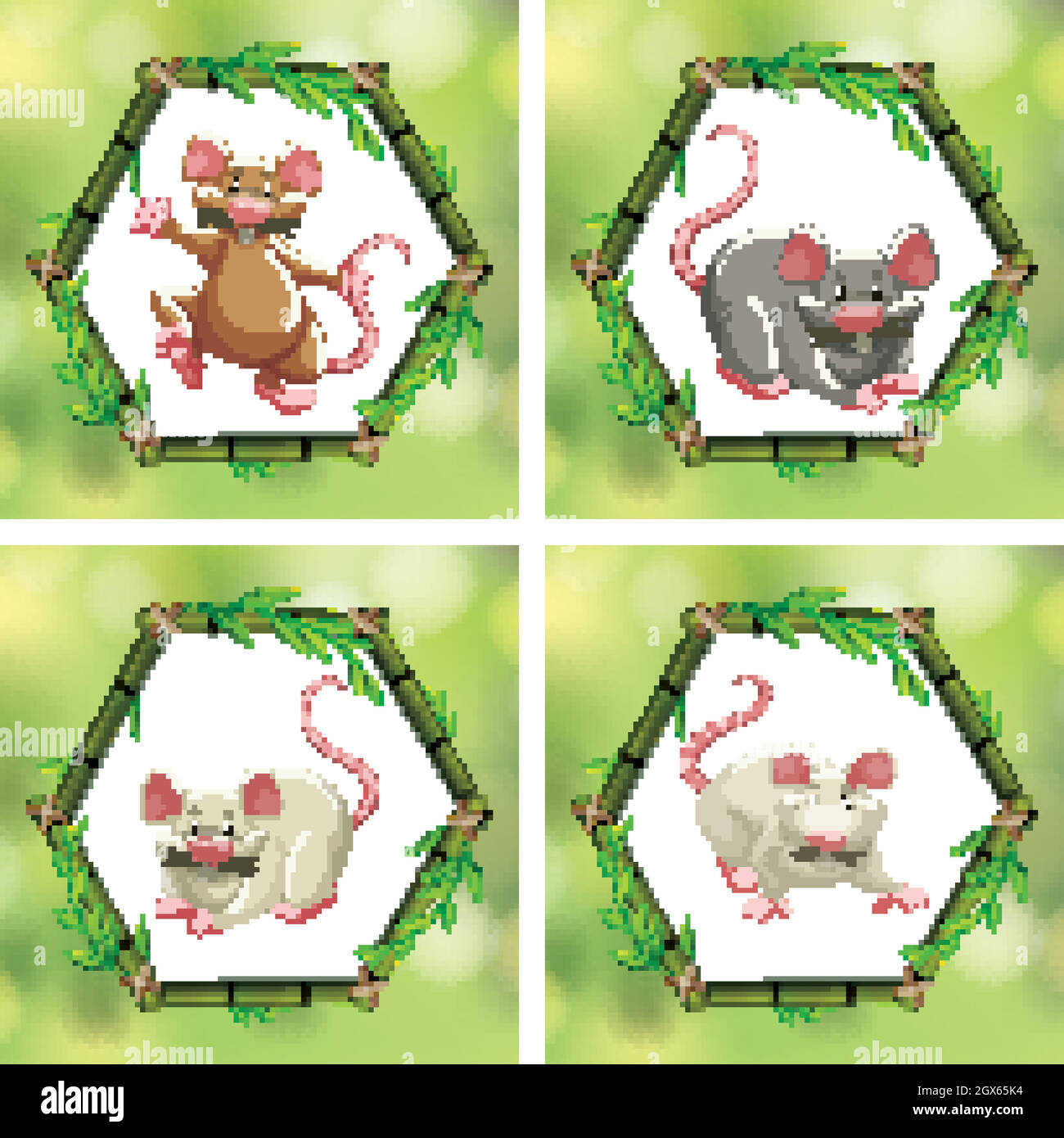 Four different rats in bamboo frames Stock Vector