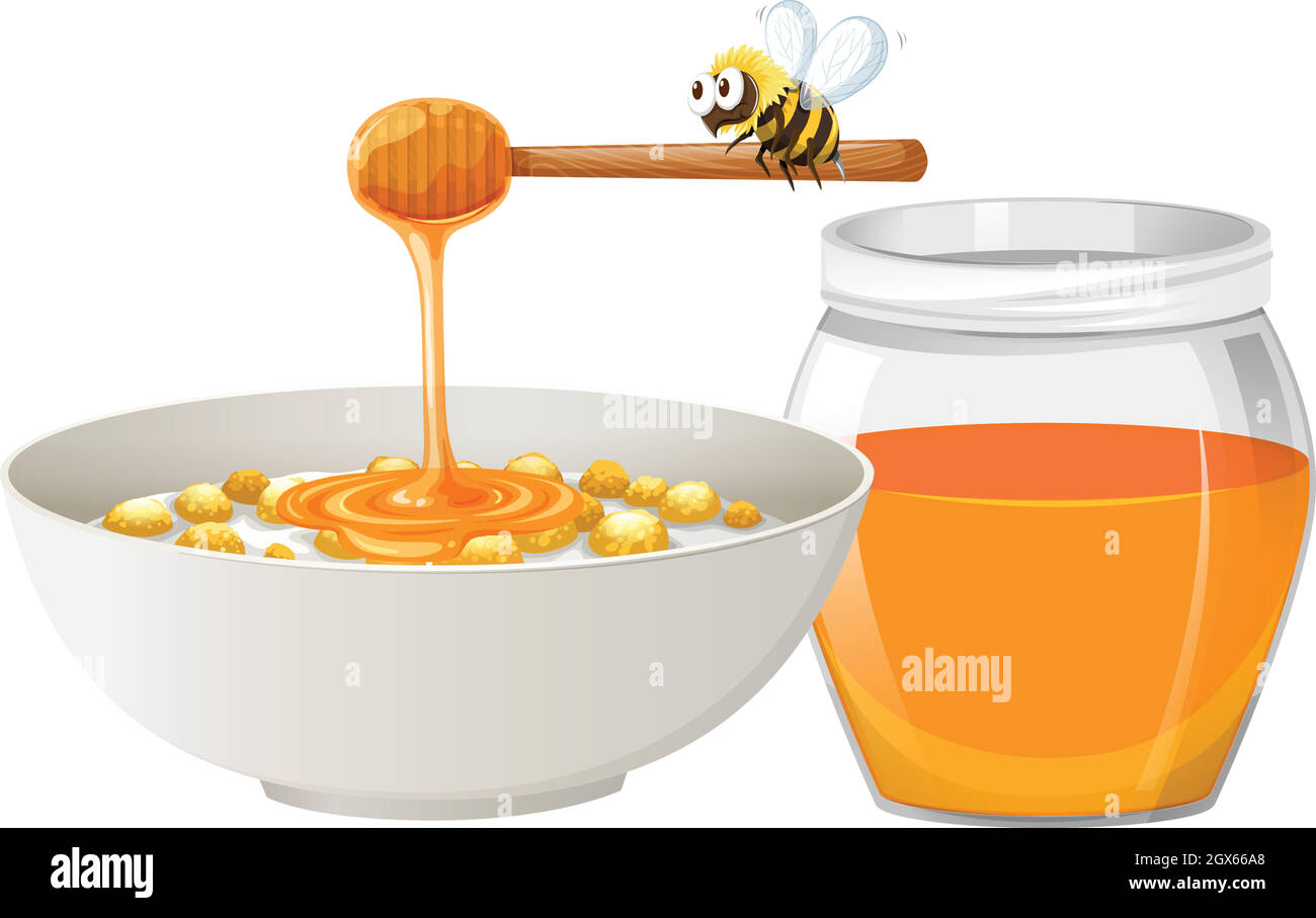 Cereal with honey in bowl Stock Vector Image & Art Alamy