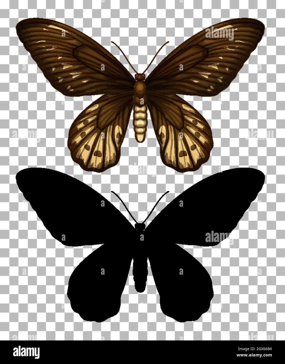 Butterfly and its silhouette on transparent background Stock Vector