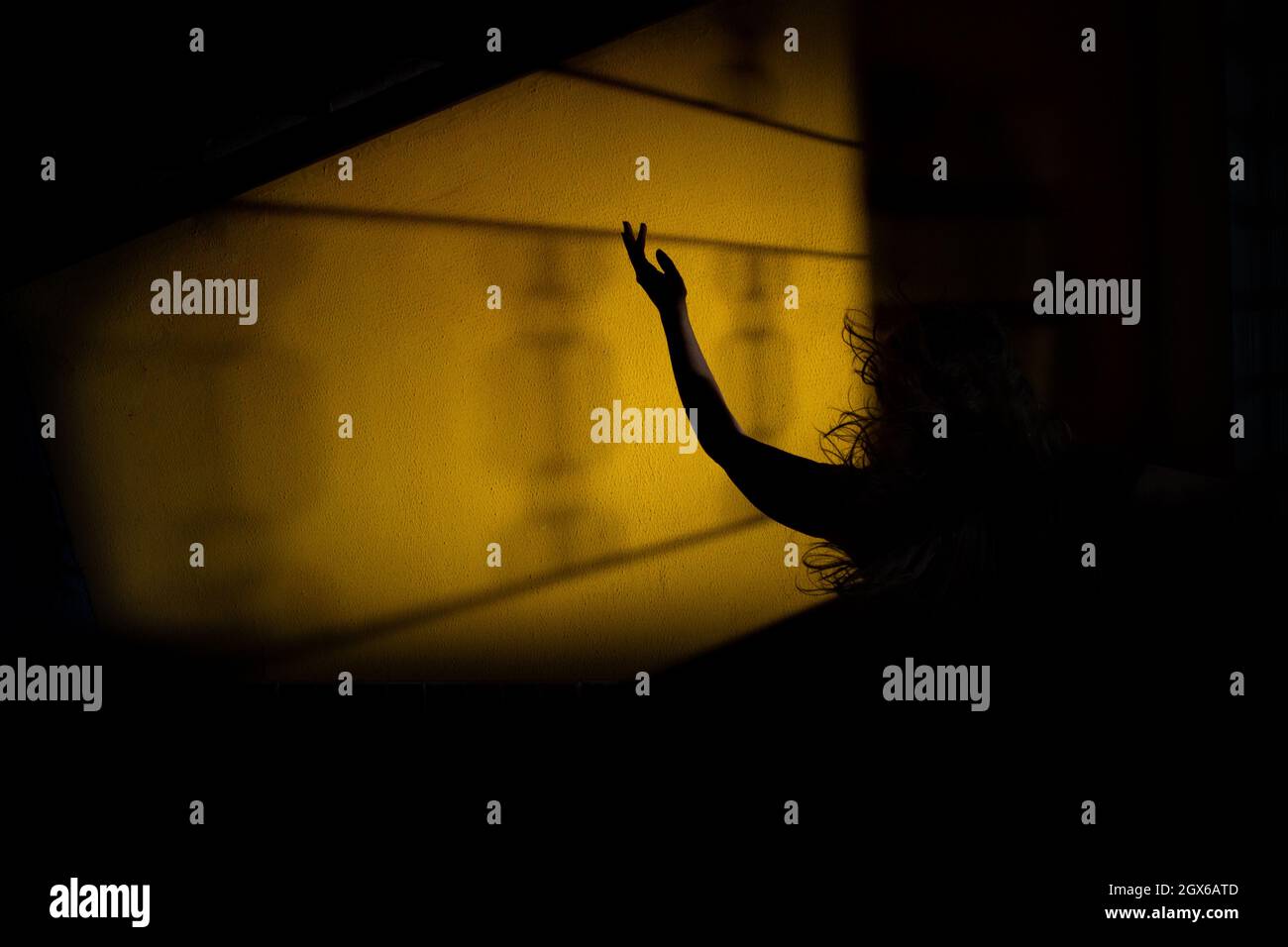 Silhouette of a woman, in despair, with one arm in the air and her hair flying. Mystery night scene. Stock Photo