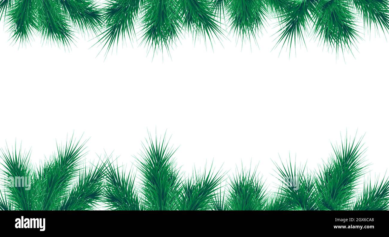 Christmas and New Year vector banner template. Fir tree branches border ...