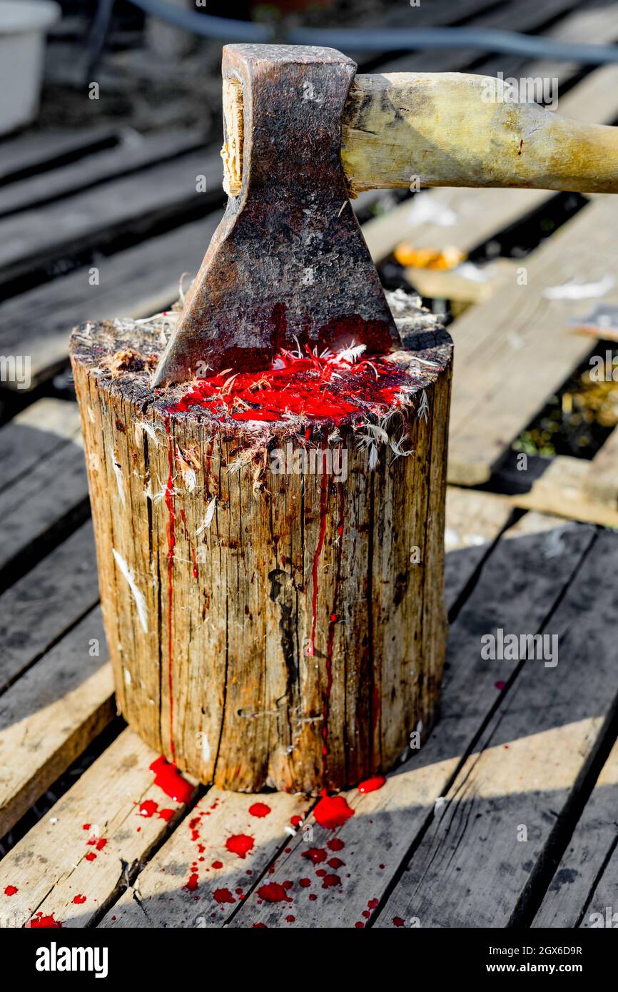 An axe and an old stump with traces of blood and feathers. Slaughter of poultry. An axe stuck in a stump.  Stock Photo