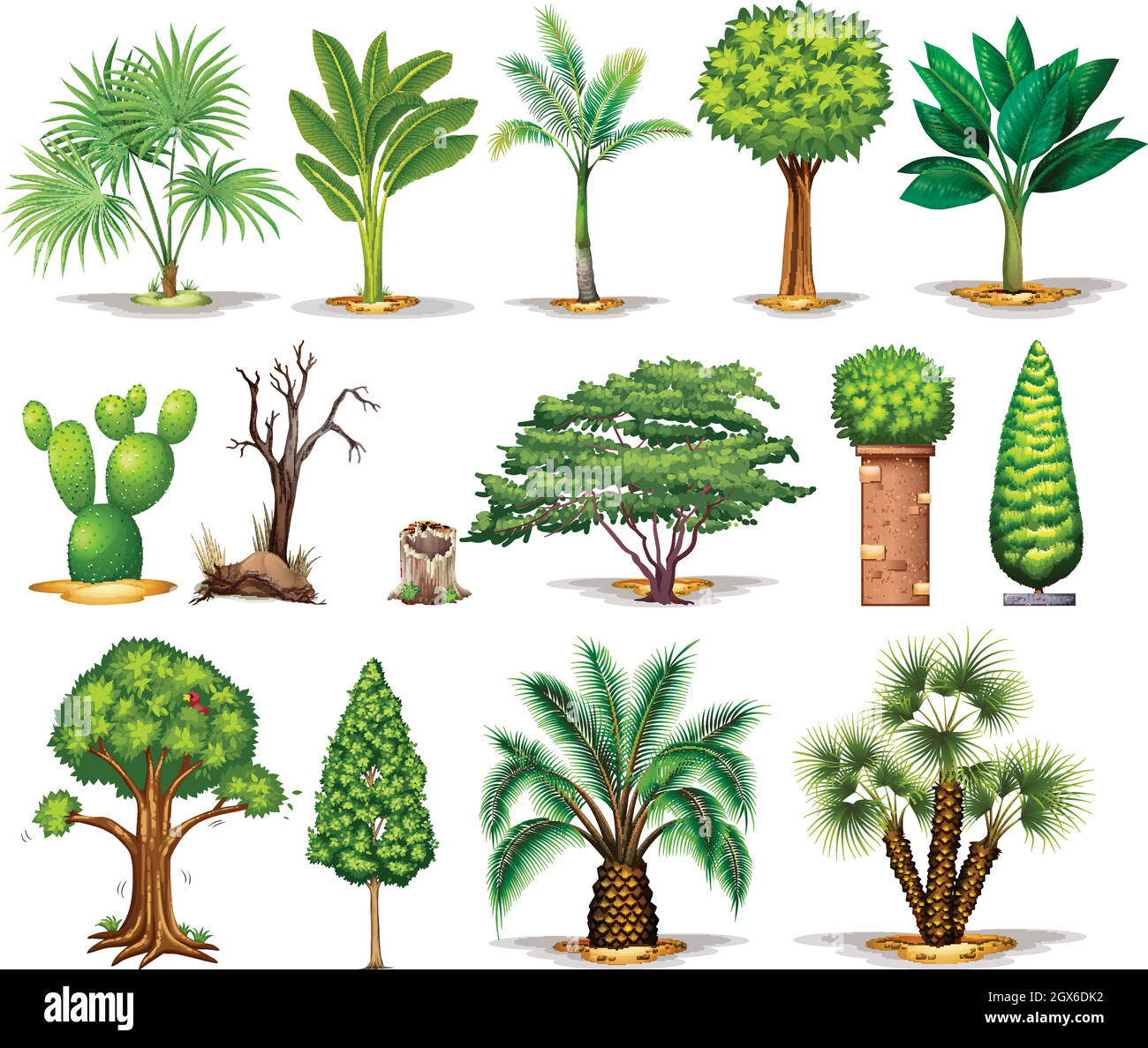 Different types of trees Stock Vector