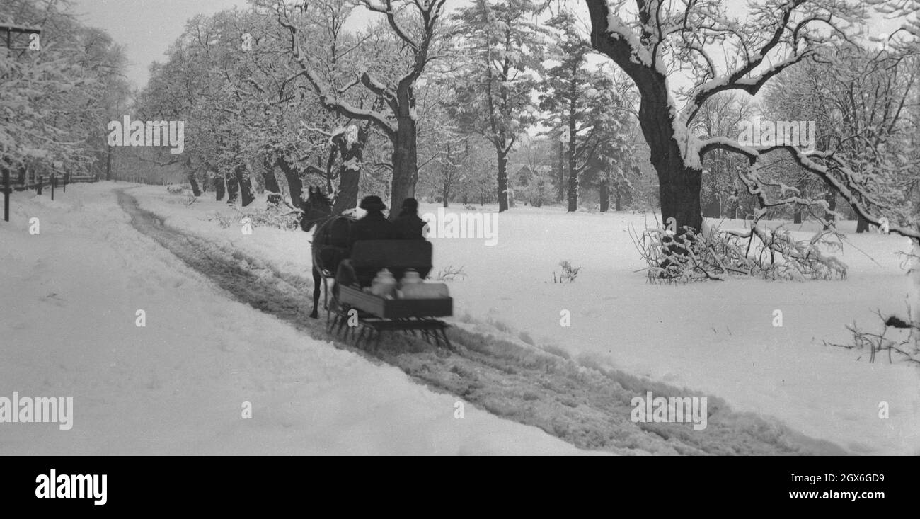 1940s, historical, wintertime and through a snow-covered path in a park, a couple riding on a horse and trap sledge, pulling on the rear a sledge with a trailer carrying two metal milk urns on, USA. Stock Photo