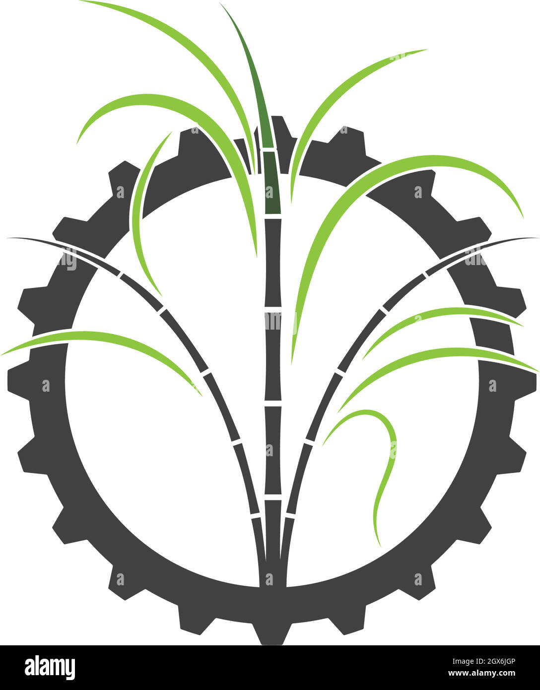 sugar cane vector icon illustration Stock Vector
