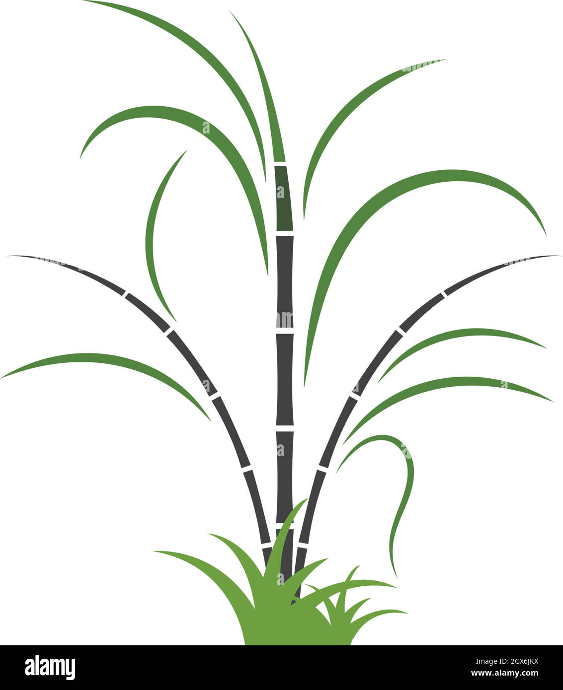 sugar cane vector icon illustration Stock Vector Image & Art - Alamy