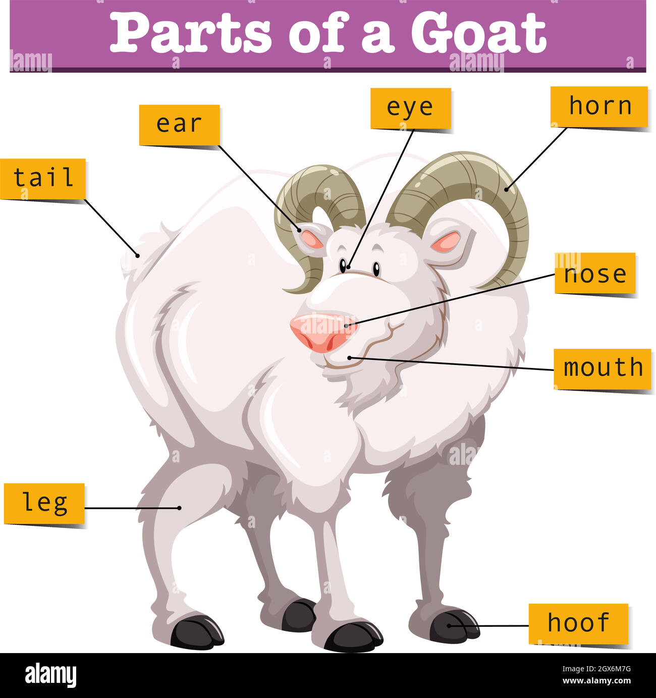 Diagram showing parts of goat Stock Vector