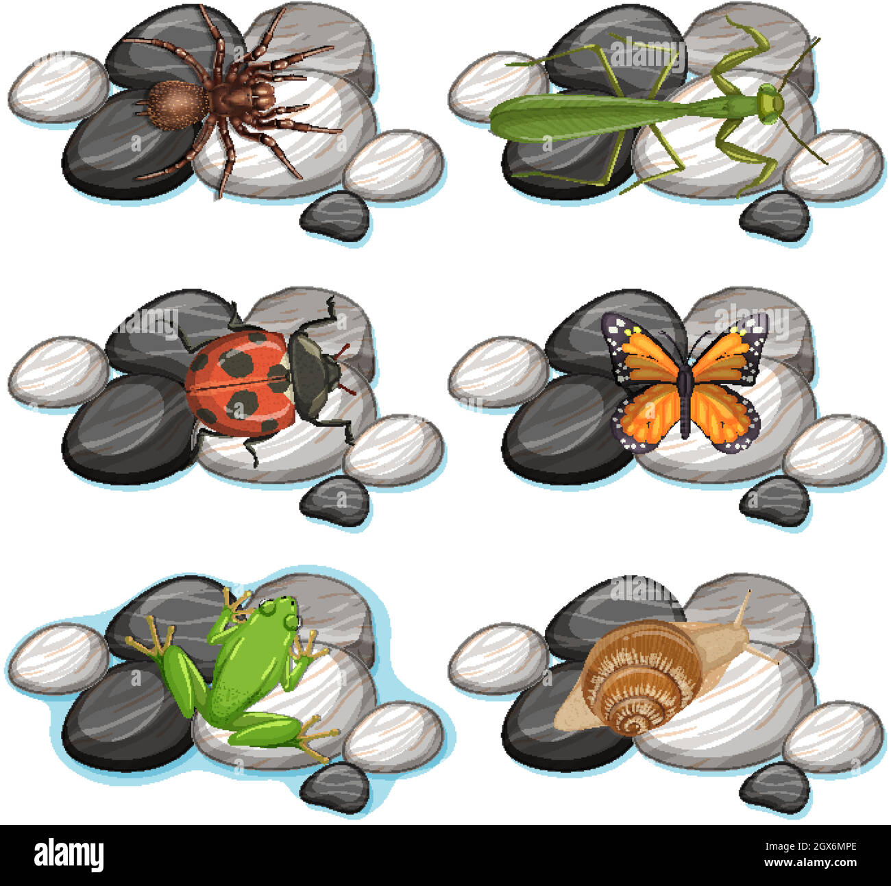 Set of different insects isolated on white background Stock Vector ...