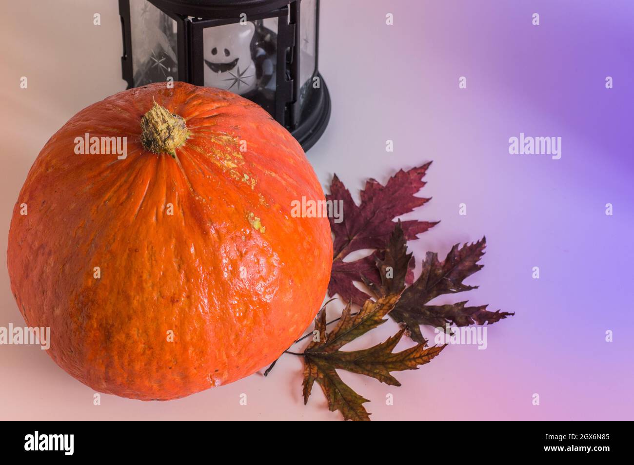 fresh orange pumpkin with autumn leaves on a light background Stock Photo