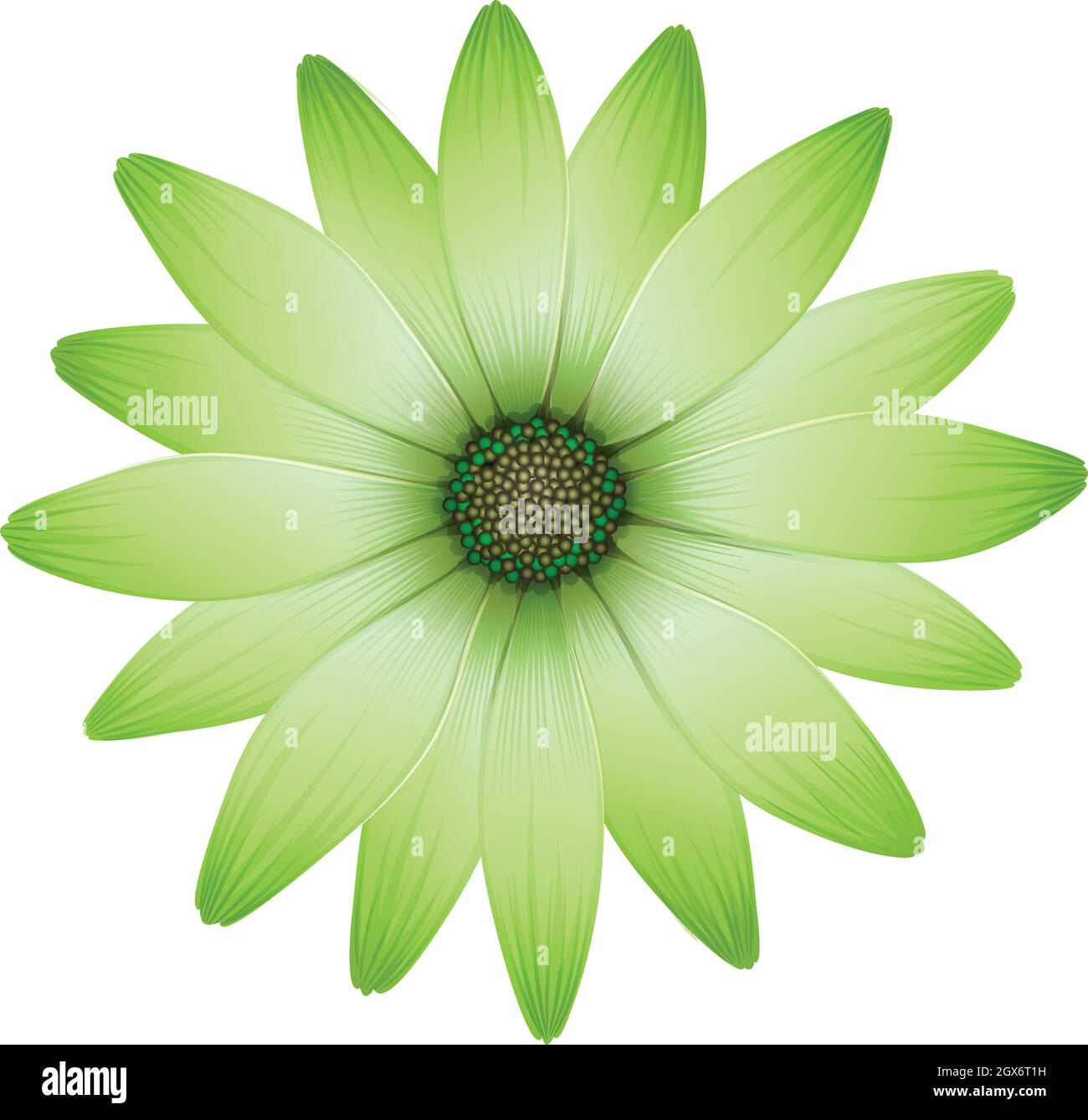 A flower with green petals Stock Vector