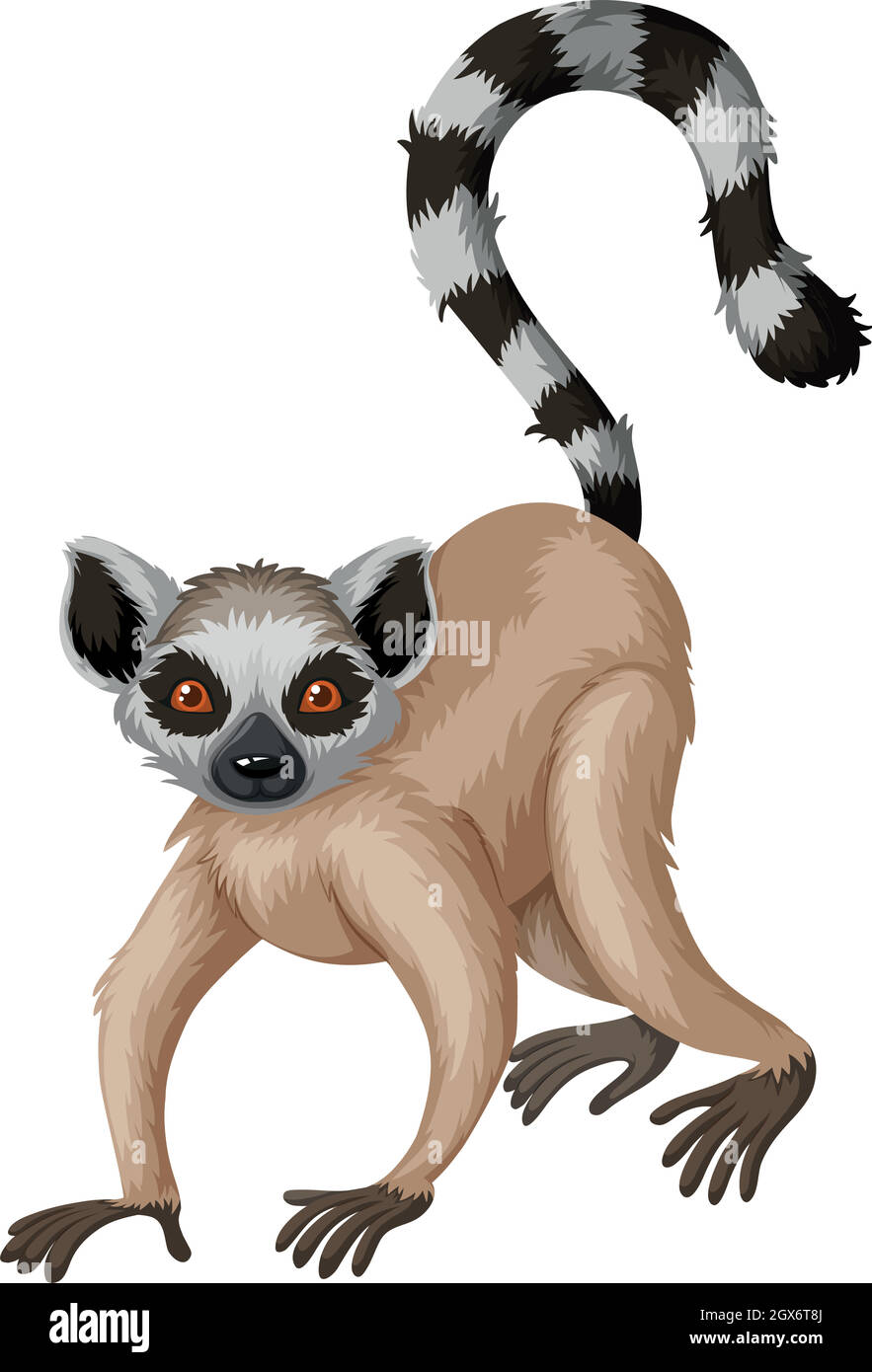 Meerkat with long tail Stock Vector