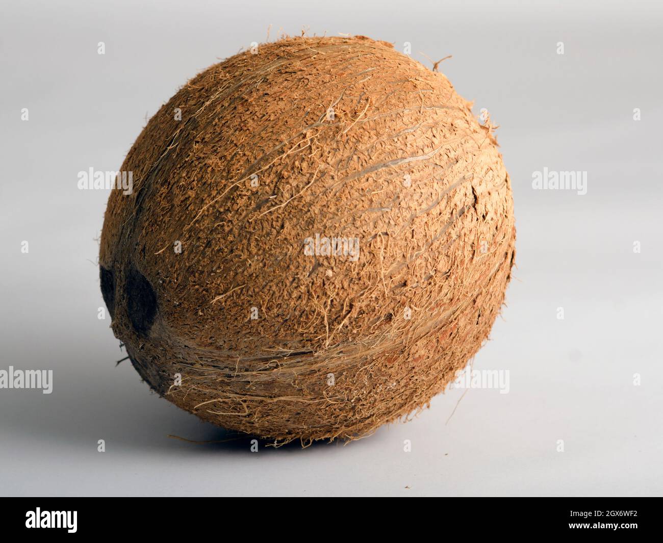 Tropical fruit Coconut isolated on white background Stock Photo Alamy