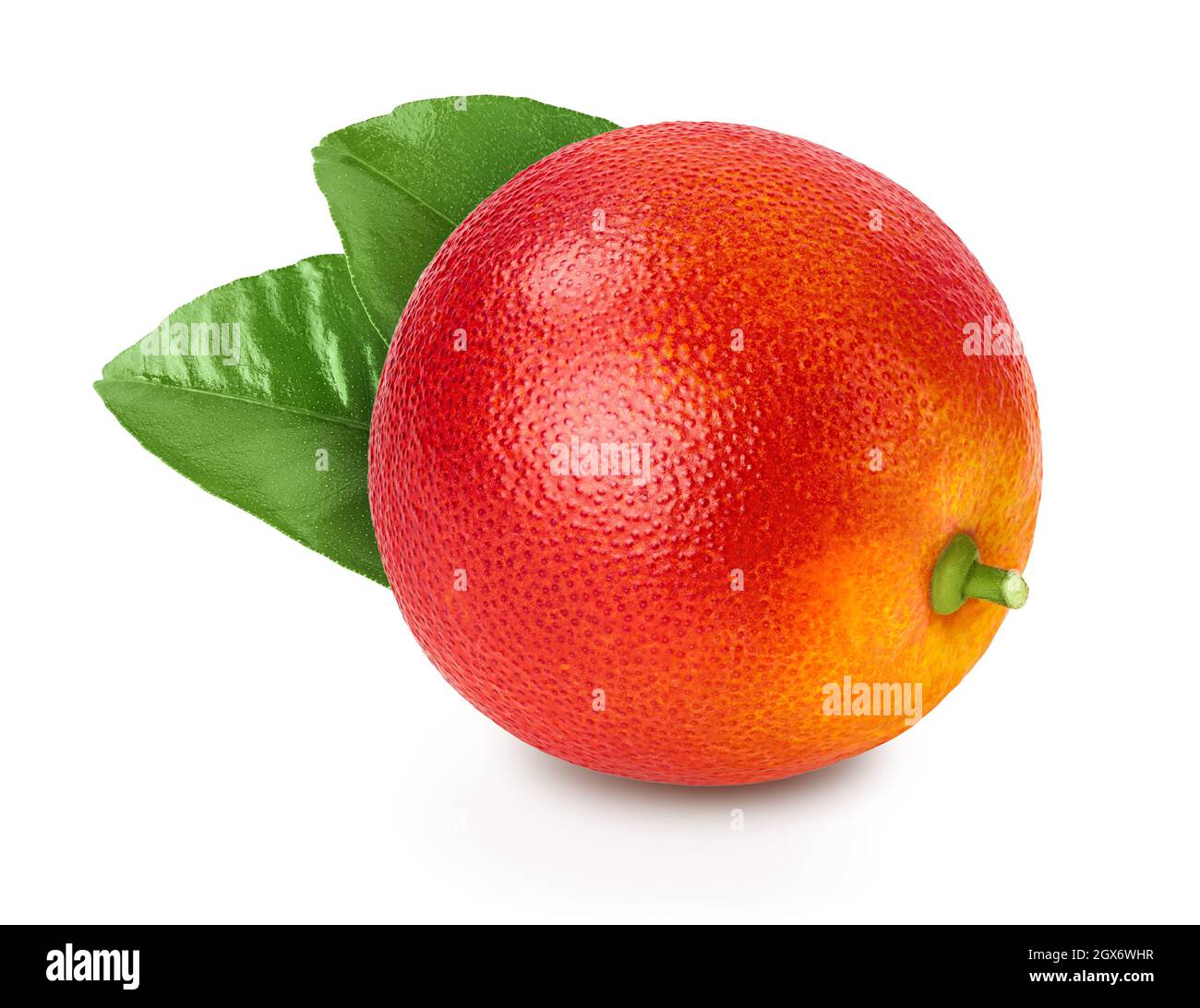 Blood red oranges isolated on white background with clipping path and