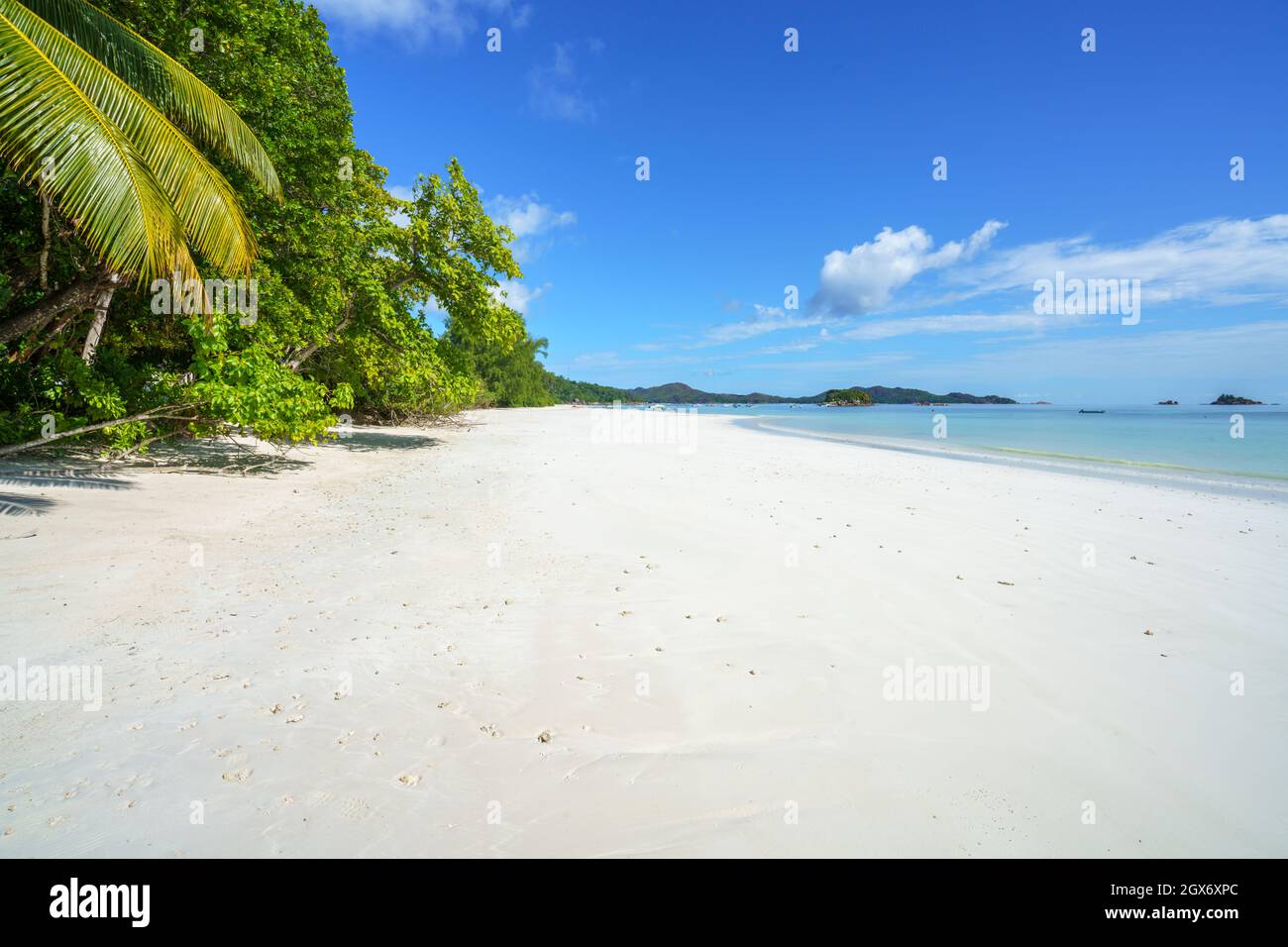 tropical beach at anse volbert on praslin on the seychelles Stock Photo