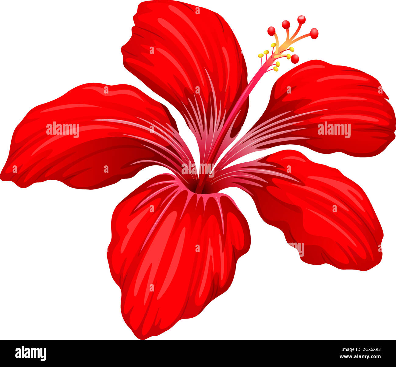 A red hibiscus plant Stock Vector