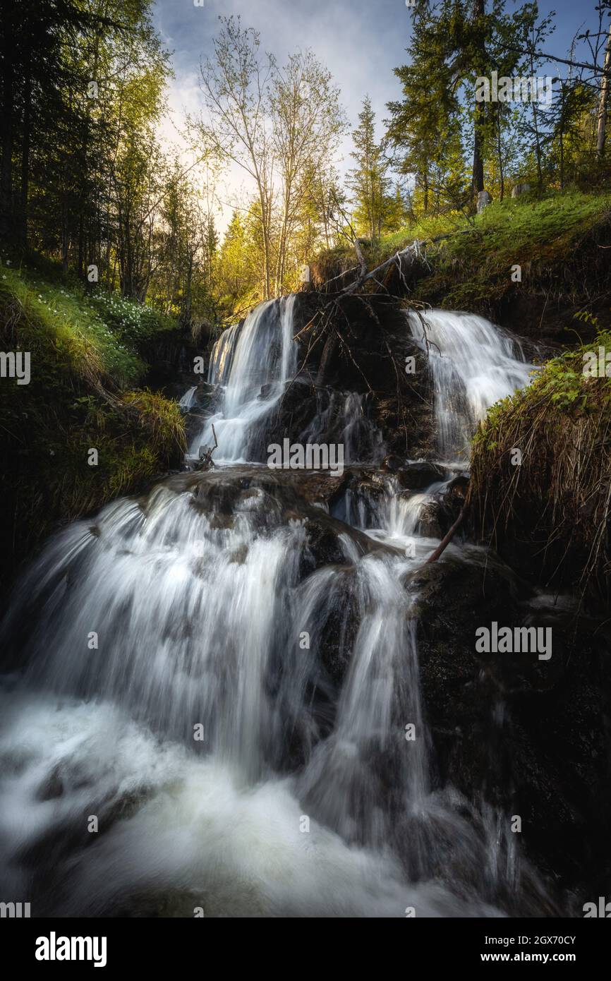 Vertical shot of a waterfall in a forest Stock Photo - Alamy