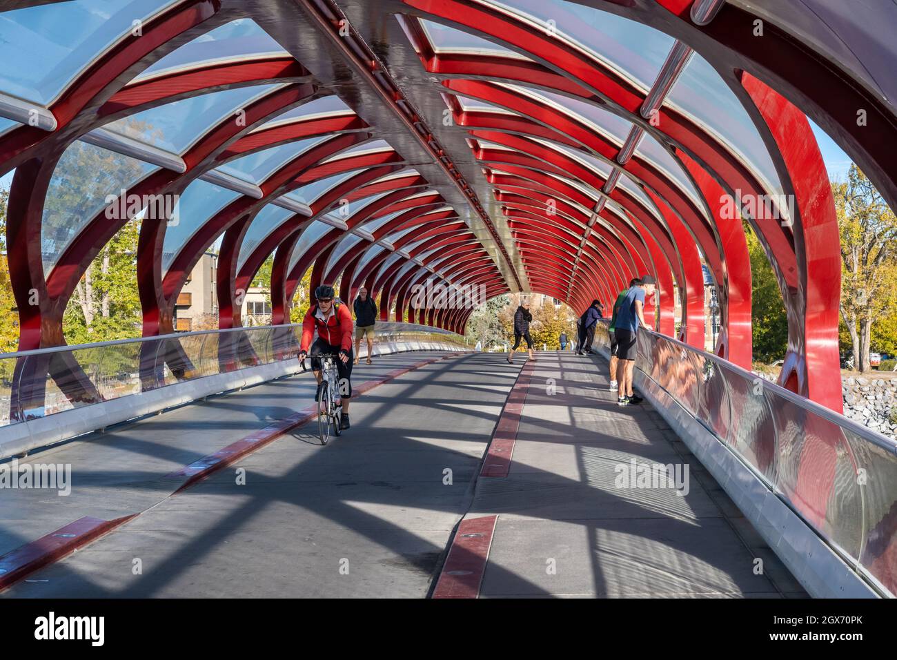 Calgary, Alberta, Canada - 27 September 2021: Inside the Peace Bridge (designed by Santiago Calatrava) in the Autumn season Stock Photo