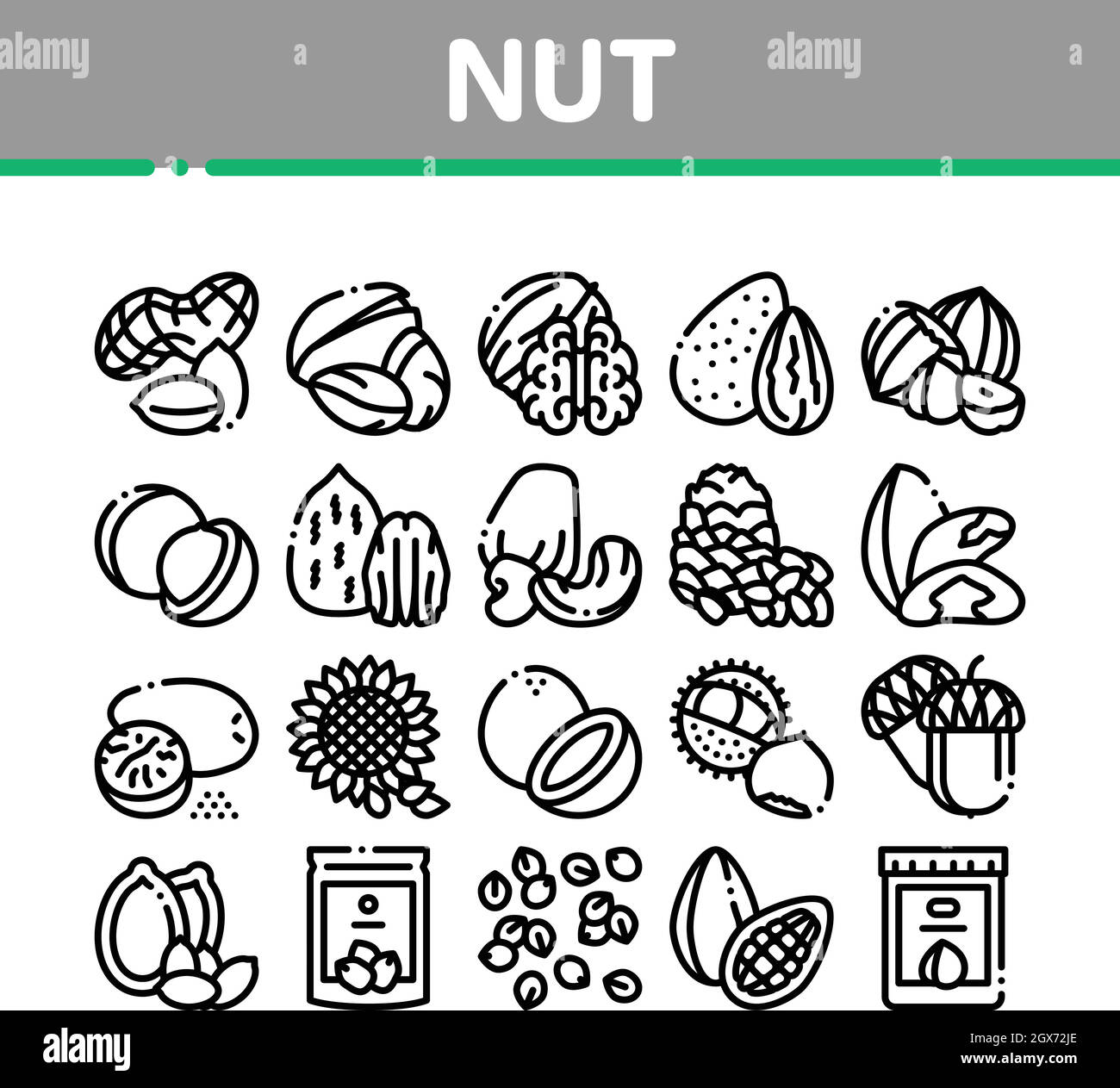 Nut Food Different Collection Icons Set Vector Stock Vector