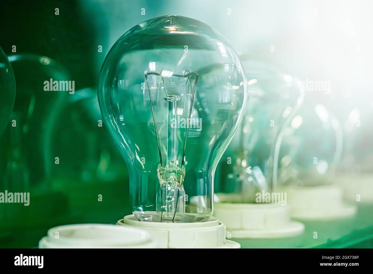 Old incandescent light bulb on green background. Samples of lamps in electronics store. Outdated technology concept. Stock Photo