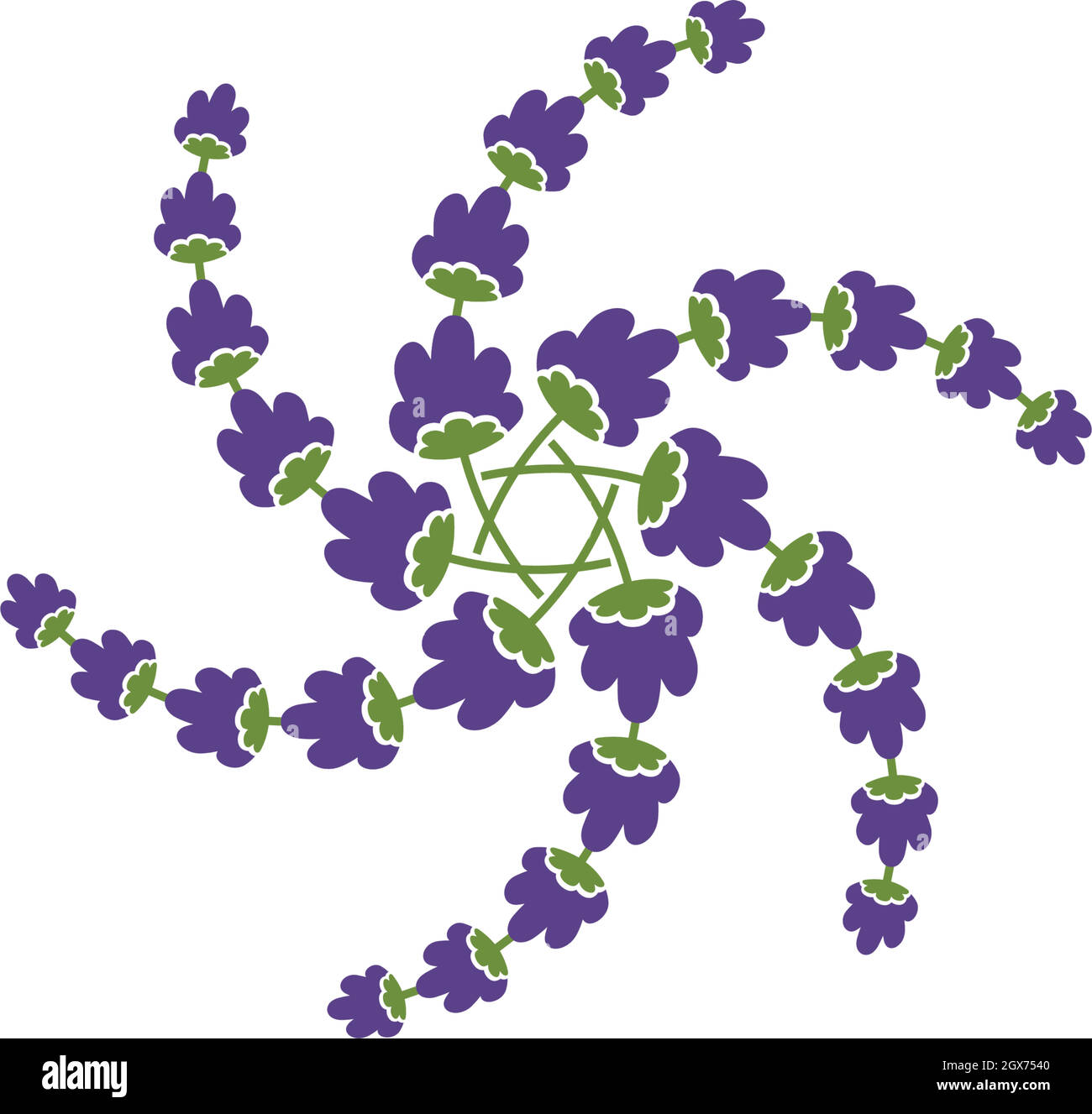 lavender flower vector illustration design Stock Vector Image & Art - Alamy
