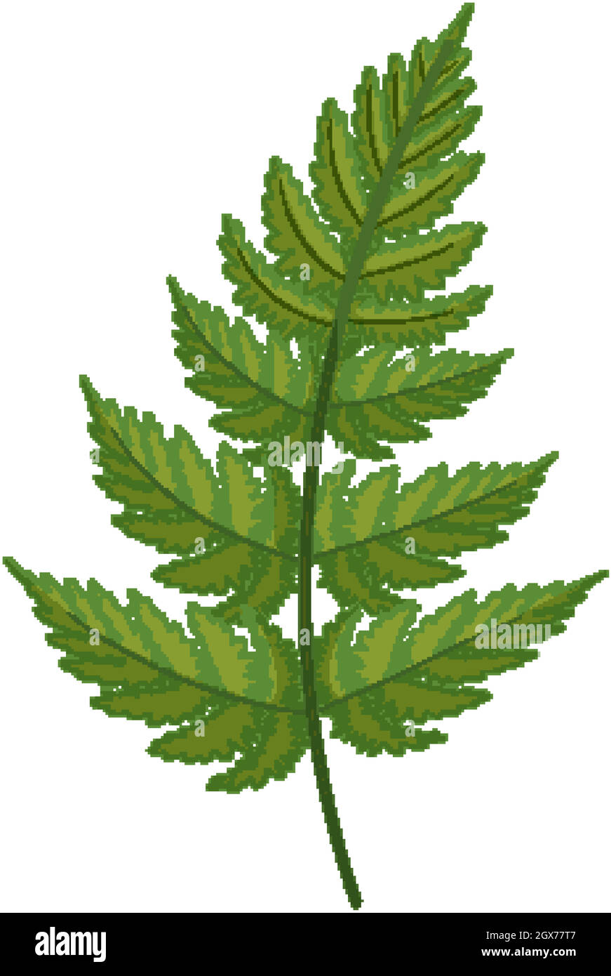 Fern leaf in cartoon style isolated Stock Vector
