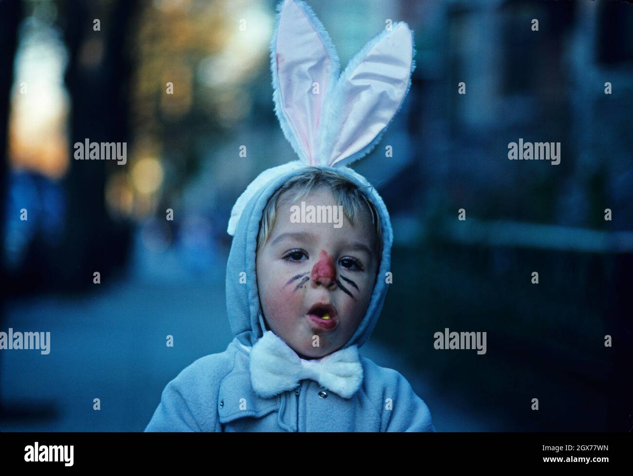 Charming toddler in Halloween bunny costume Stock Photo Alamy