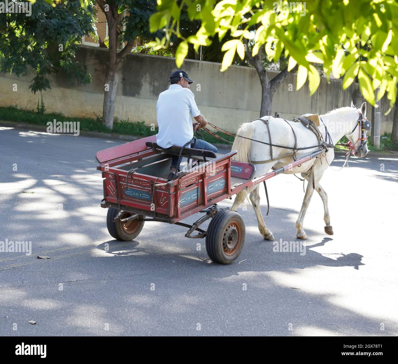 January 5th, 2016. Mairiporã, São Paulo, Brazil. An old man with his horse and wagon back to the farm Stock Photo