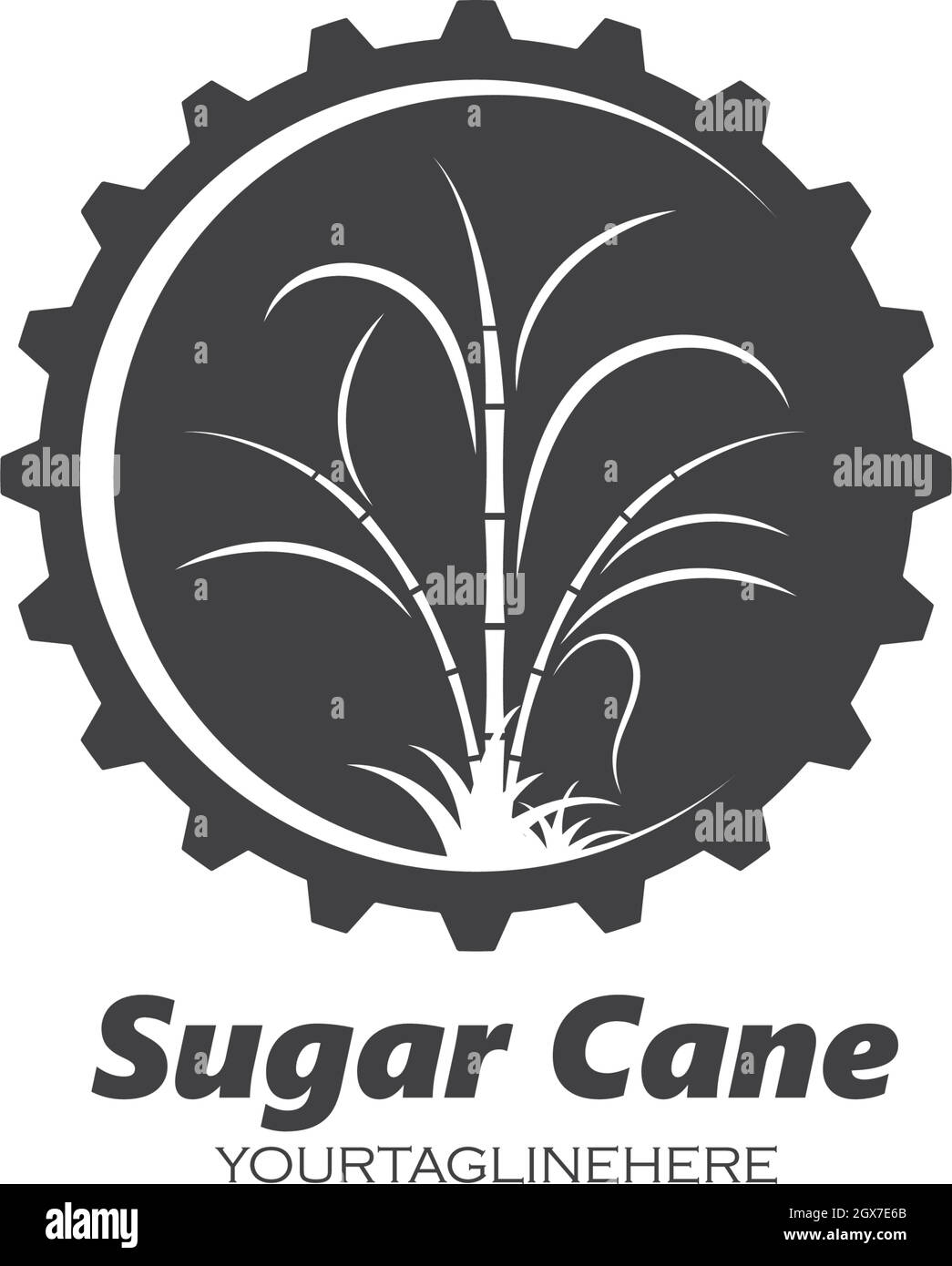sugar cane vector icon illustration Stock Vector