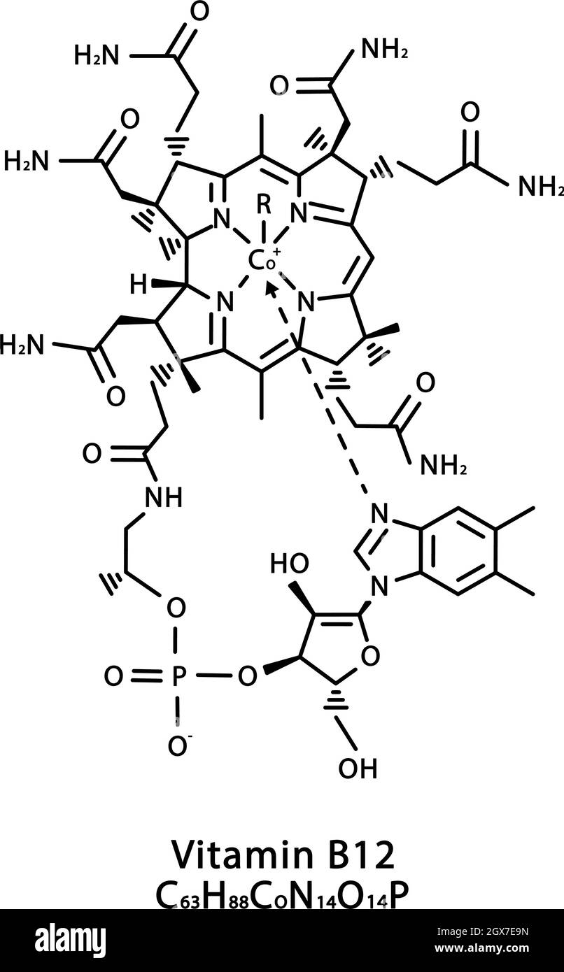 Vitamin B12 Cyanocobalamin molecular structure. Vitamin B12 Cyanocobalamin skeletal chemical formula. Chemical molecular formulas Stock Vector