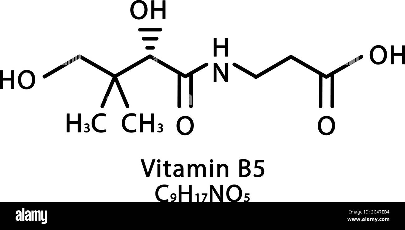 Vitamin B5 Pantothenic molecular structure. Vitamin B5 Pantothenic skeletal chemical formula. Chemical molecular formulas Stock Vector