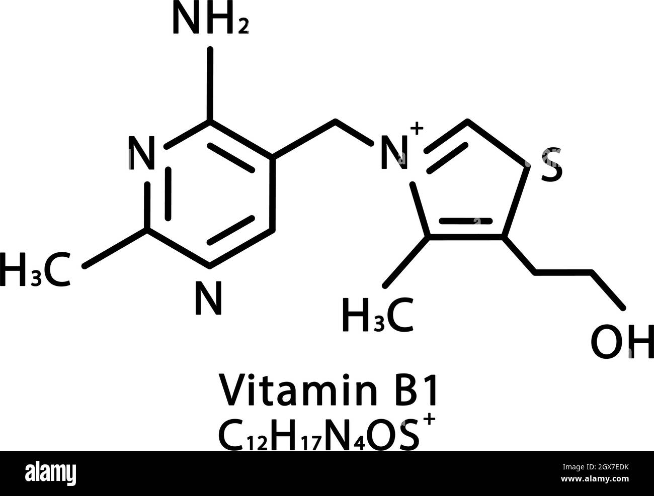 Geld rubber Harde ring Higgins Vitamin B1 Thiamine molecular structure. Vitamin B1 Thiamine skeletal  chemical formula. Chemical molecular formulas Stock Vector Image & Art -  Alamy