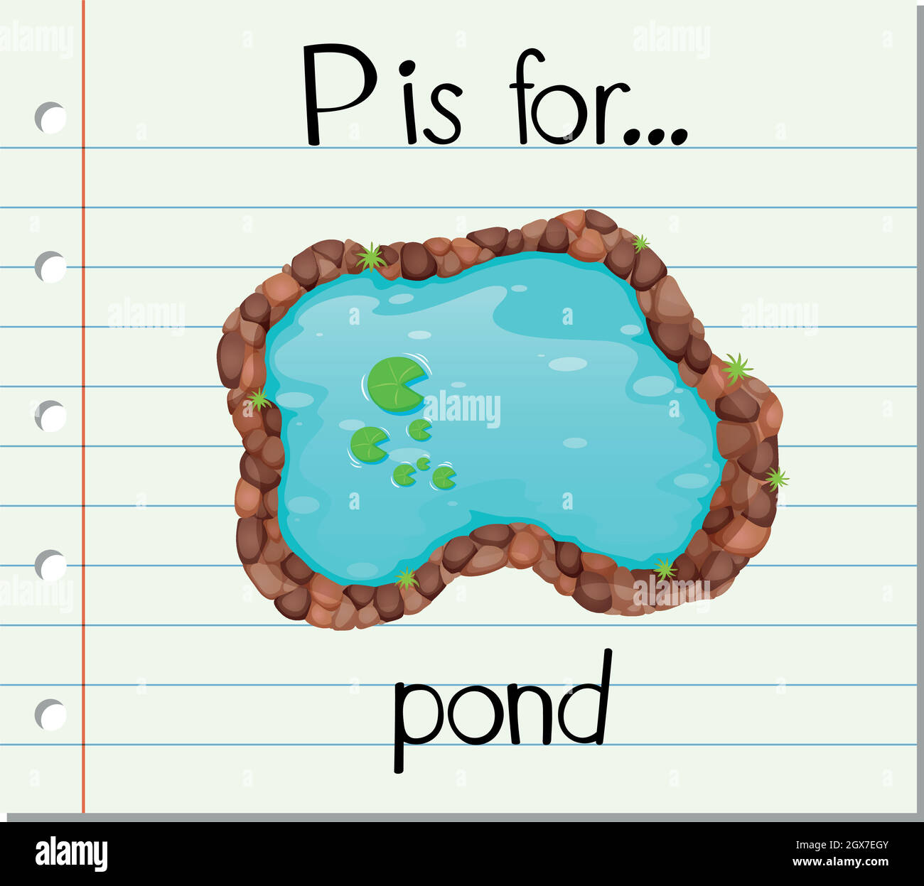 Flashcard letter P is for pond Stock Vector