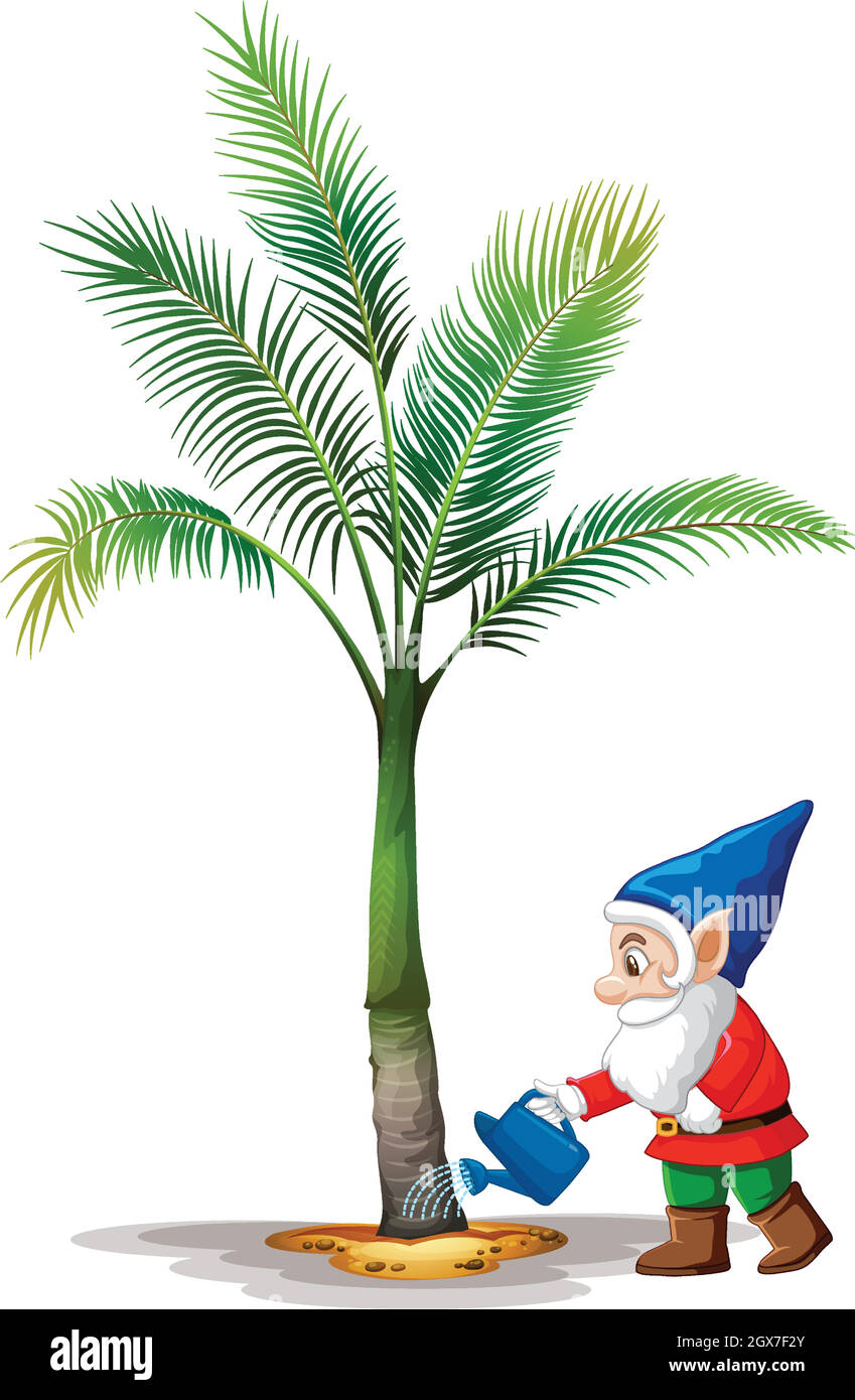 Gnome watering palm tree cartoon character on white background Stock Vector