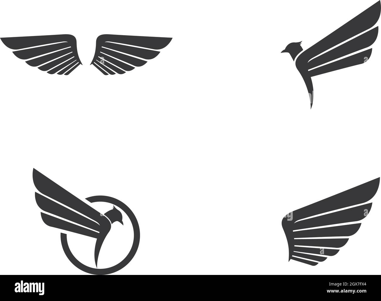 Bird Logo Template vector icon Stock Vector Image & Art - Alamy
