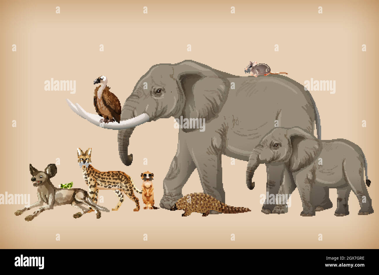 Group of wild animal on background Stock Vector Image & Art - Alamy