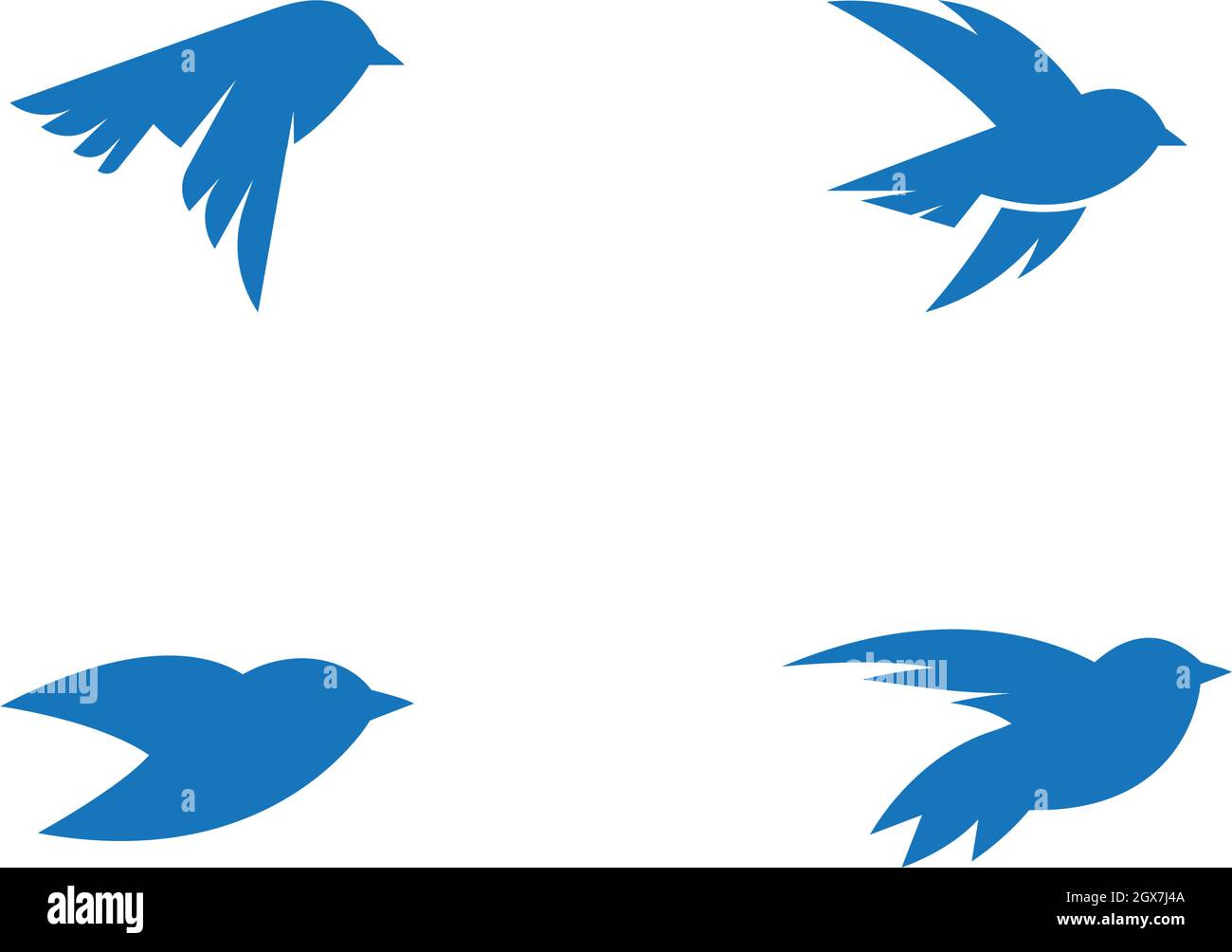 Bird Logo Template vector illustration Stock Vector Image & Art - Alamy
