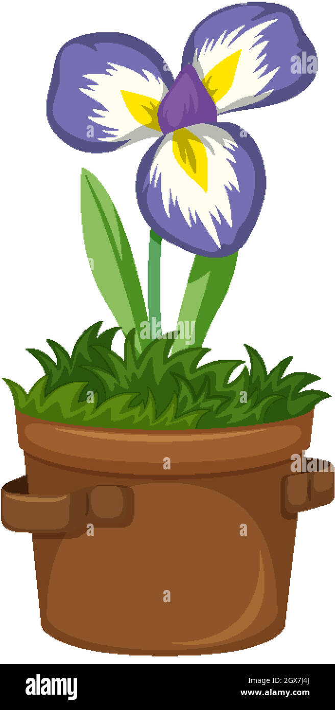 Beautiful flower in clay pot on white background Stock Vector Image ...