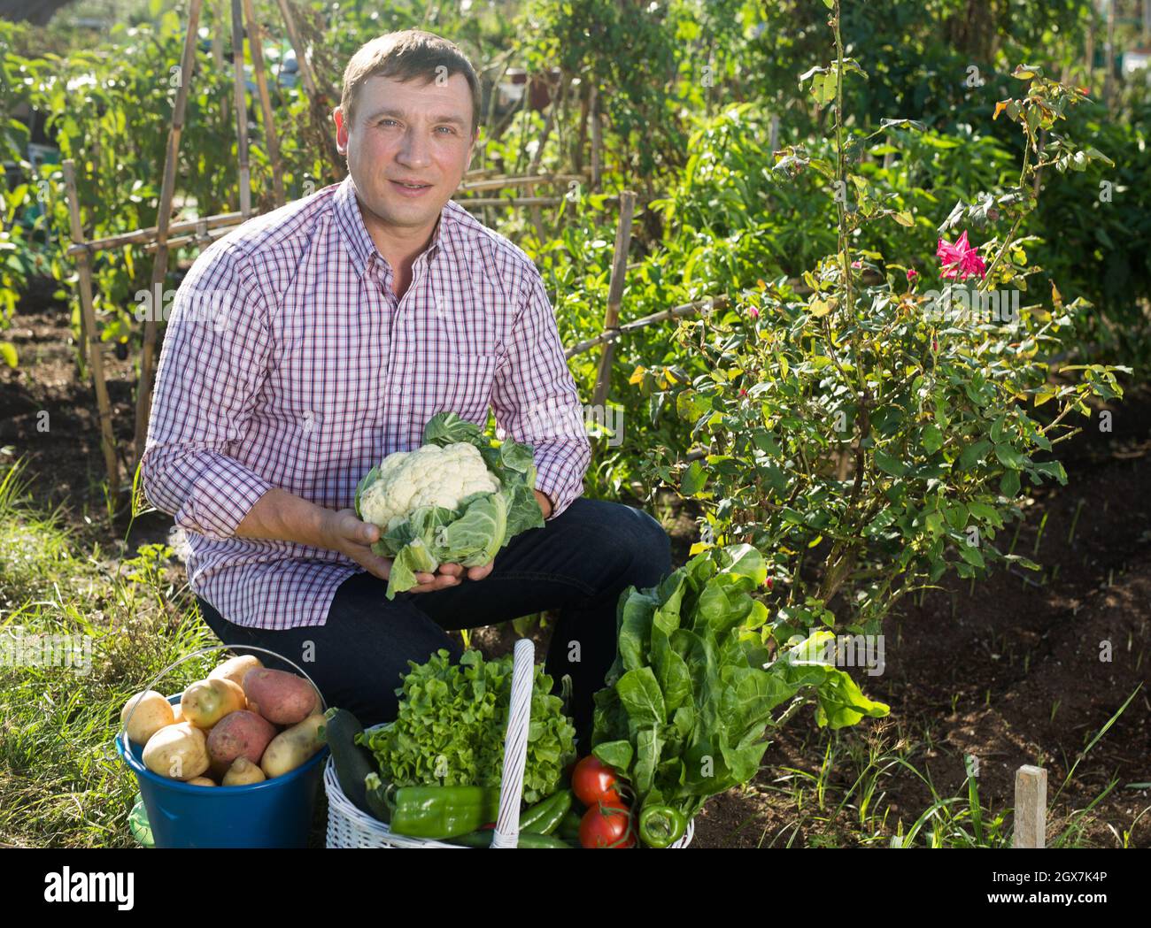 Young man gardener holding basket with harvest of vegetables Stock ...