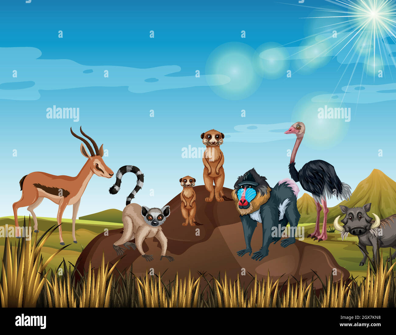 Many animals standing in the field Stock Vector Image & Art - Alamy