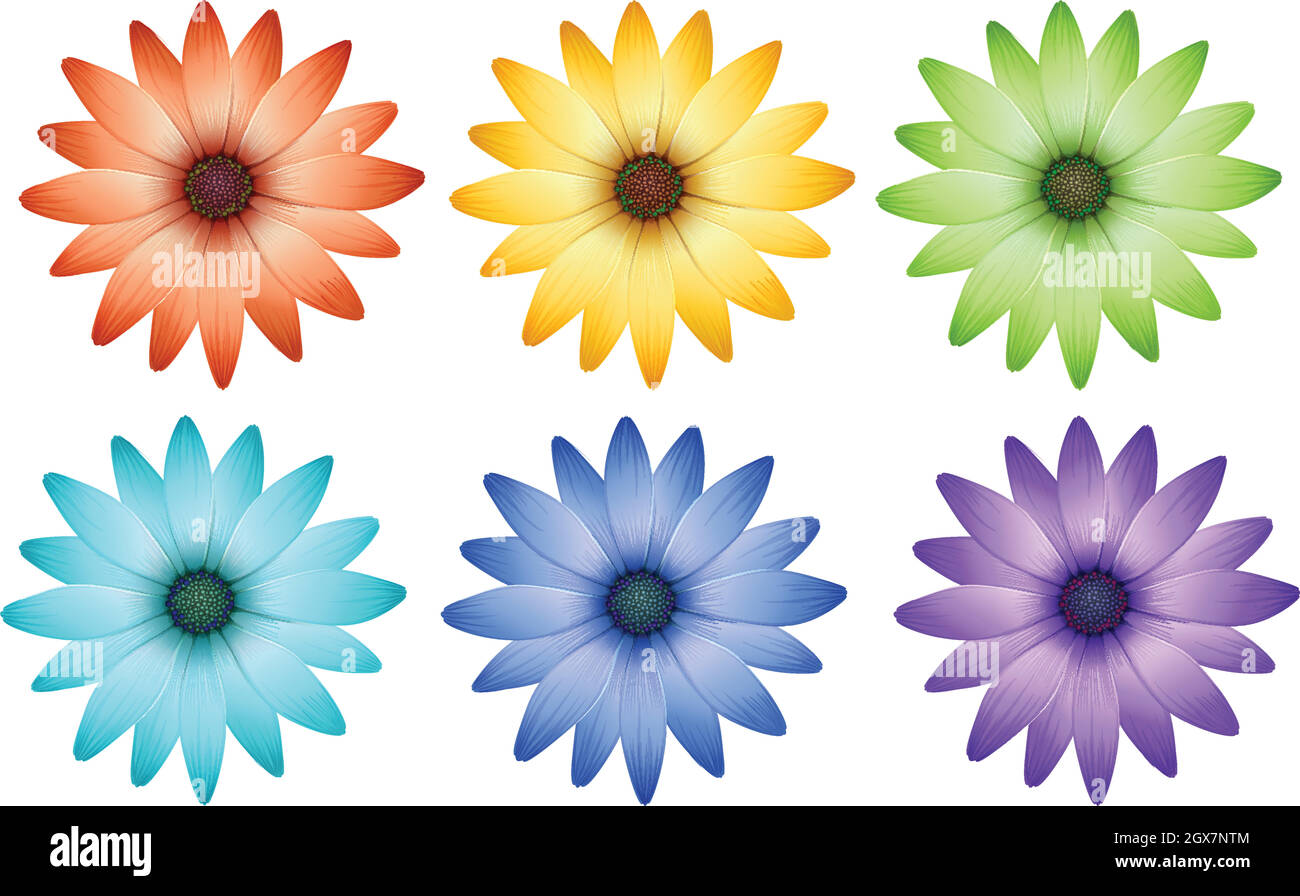 Six colorful flowers Stock Vector