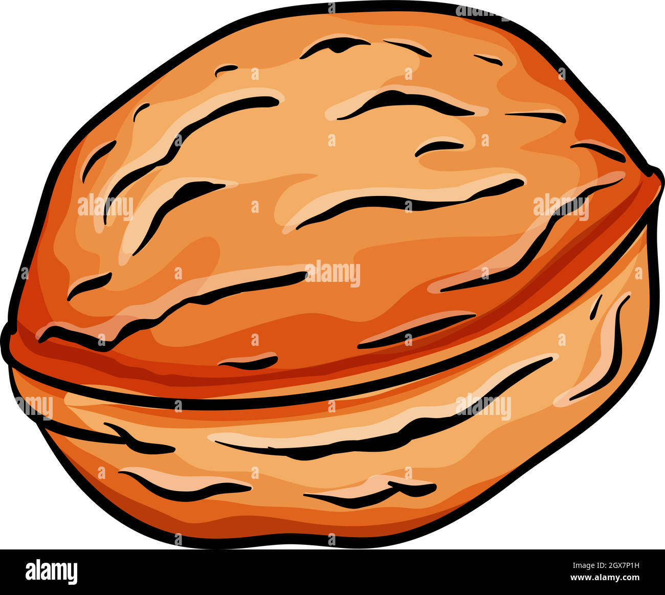 Closed nut Stock Vector Images - Alamy