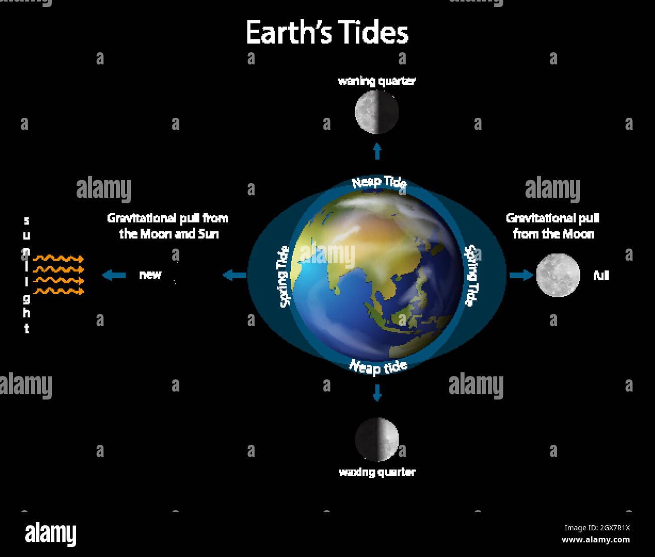 Diagram showing earth tides with earth and moon Stock Vector