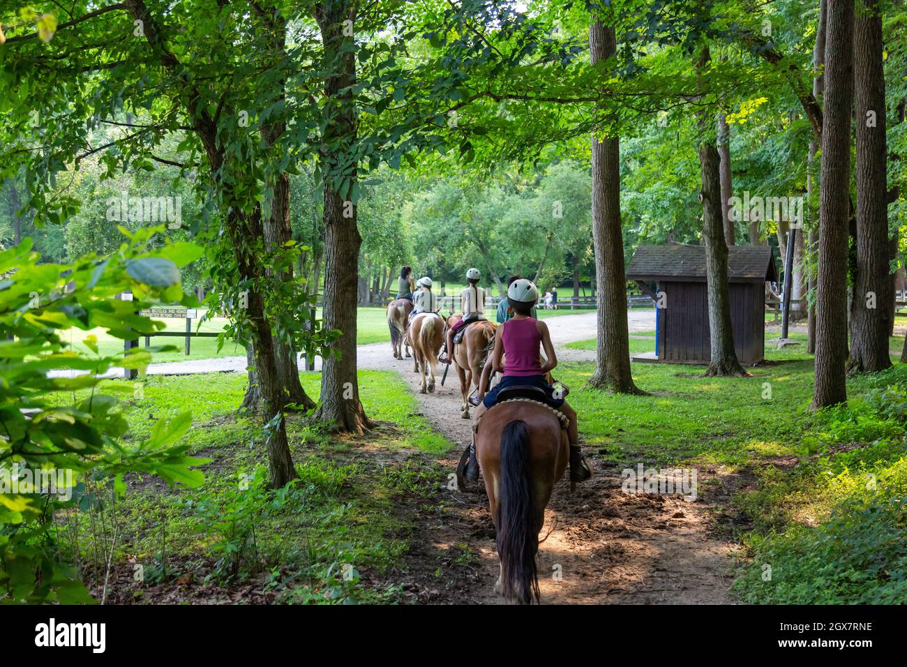 A group of people ride the trails of Brown County State Park on horseback Stock Photo Alamy