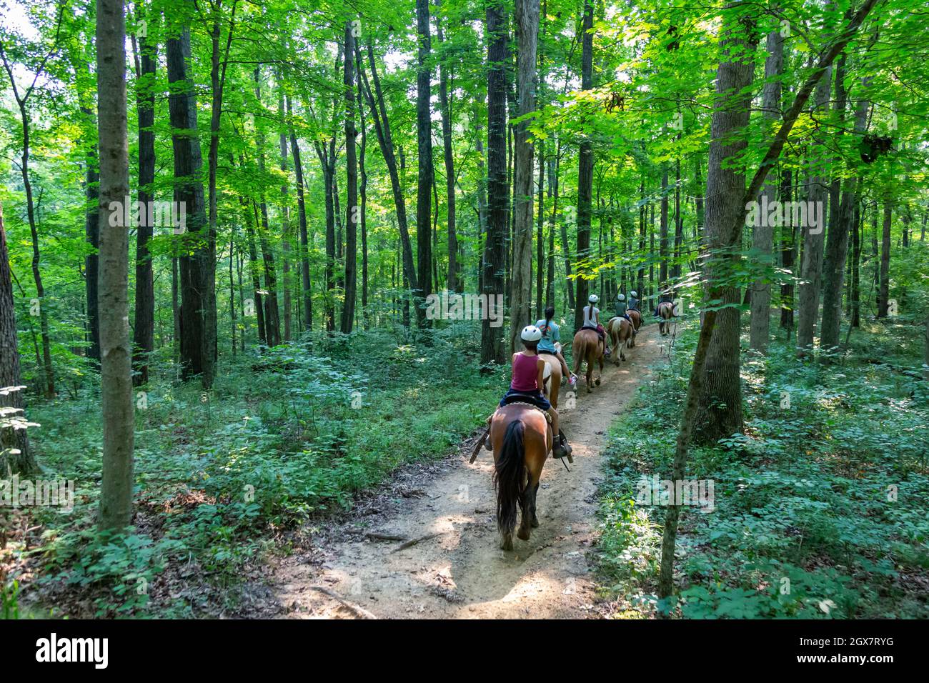A group of people ride the trails - A Group Of People Ride The Trails Of Brown County State Park On Horseback 2GX7RYG 