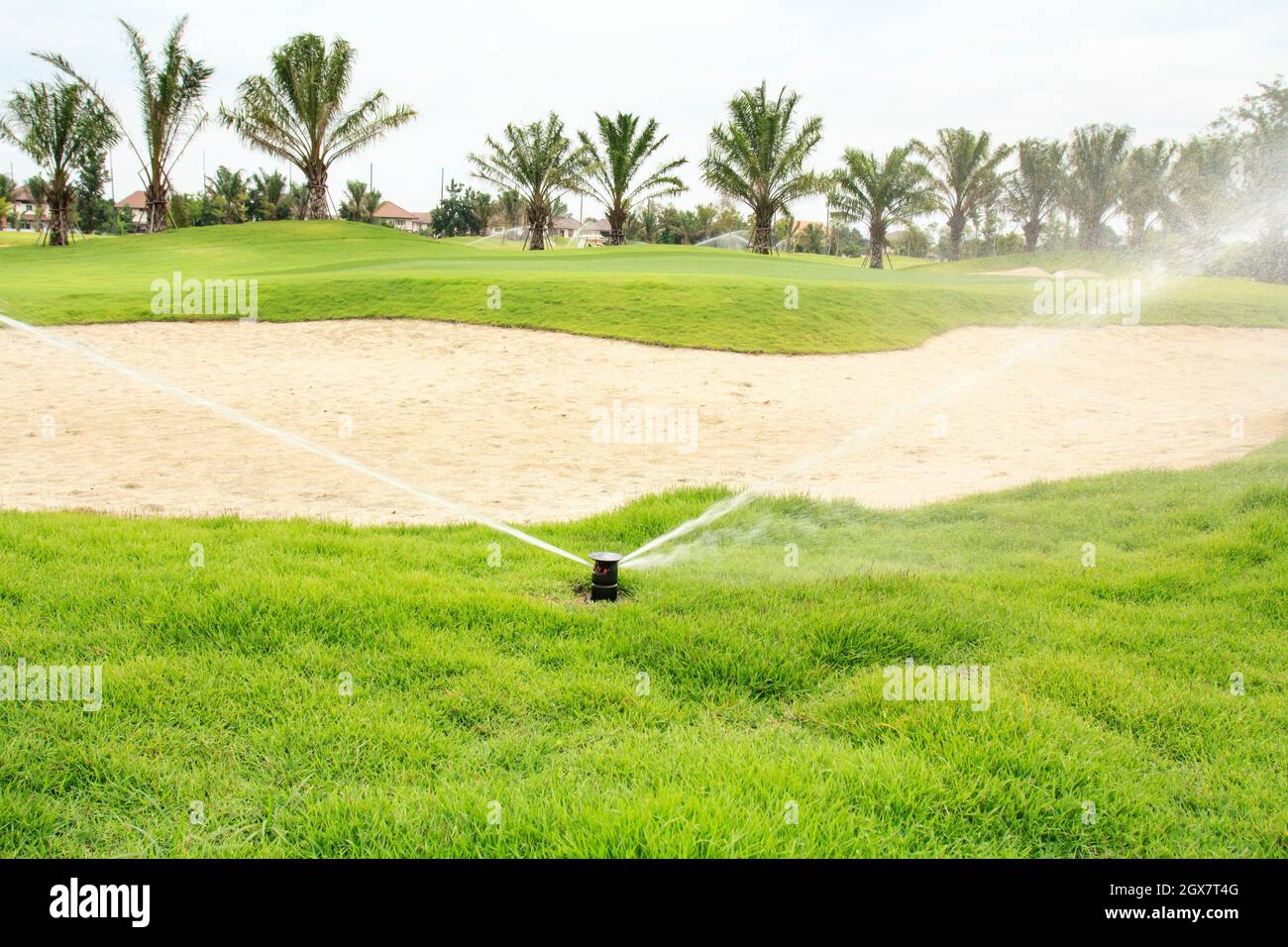 Watering in golf course Stock Photo Alamy