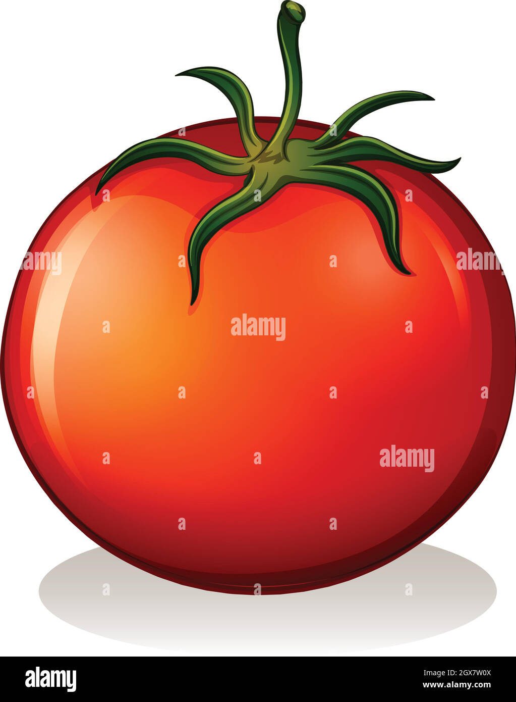 A big ripe tomato Stock Vector
