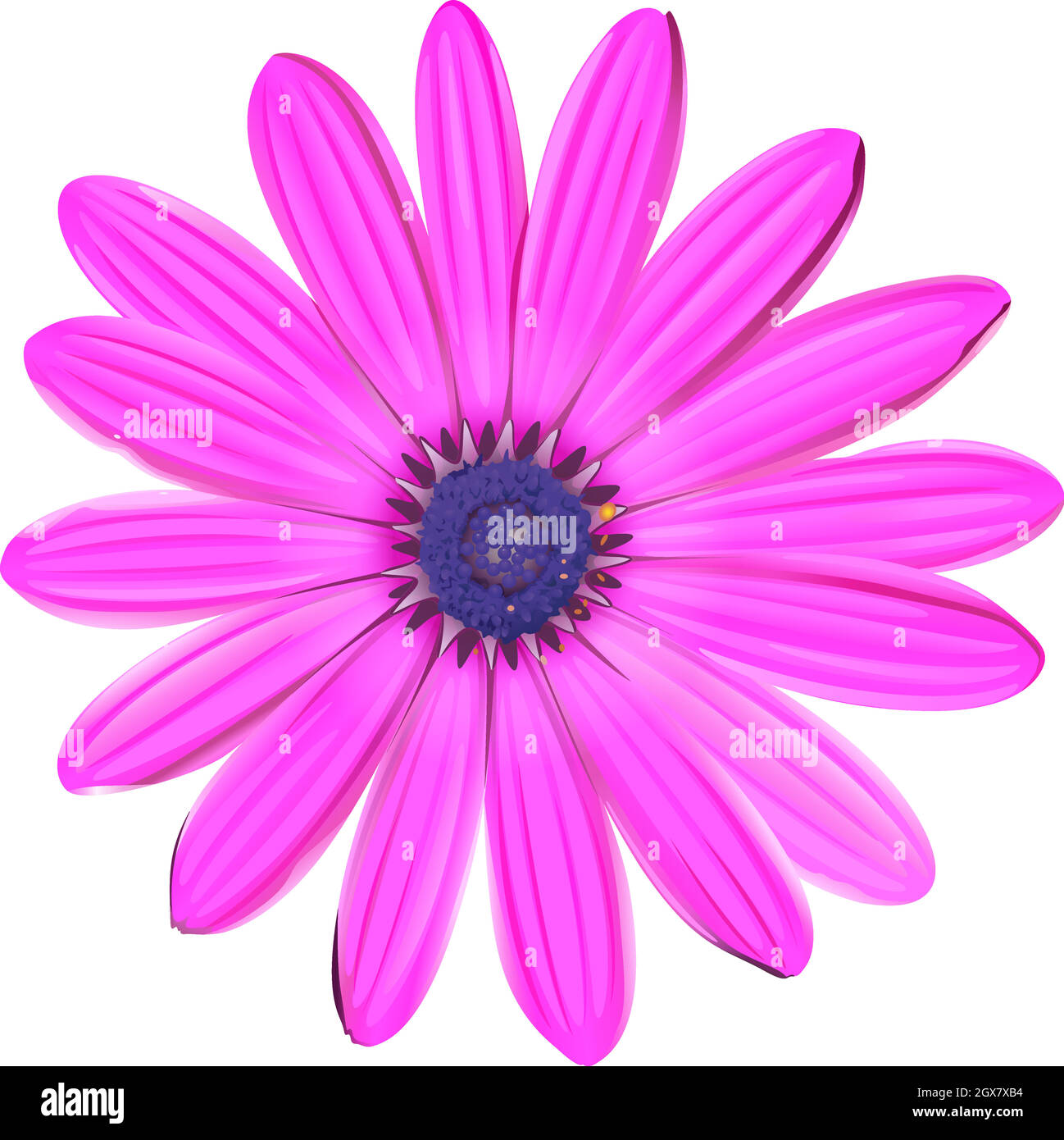 A pink flower Stock Vector