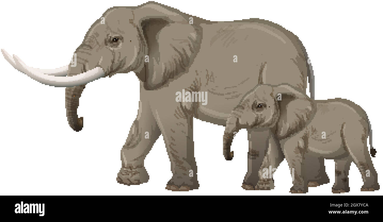 Adult elephant with young elephant in cartoon style on white background Stock Vector