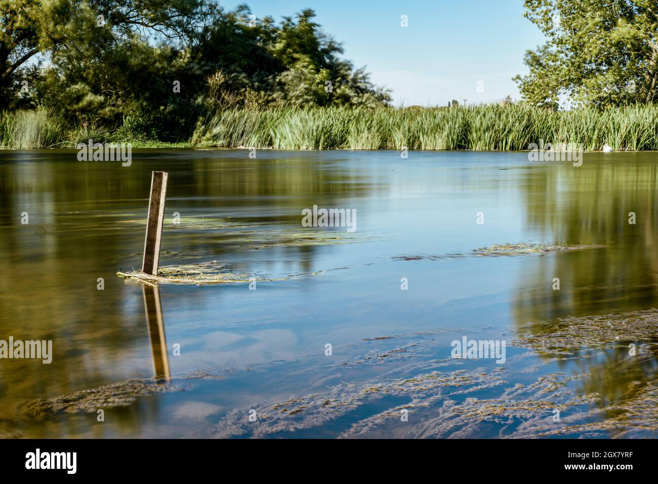 Calm water on a lake in a quiet countryside location Stock Photo